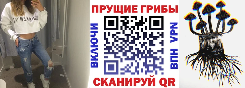 Галлюциногенные грибы мухоморы  Купить закладки  Высоковск 